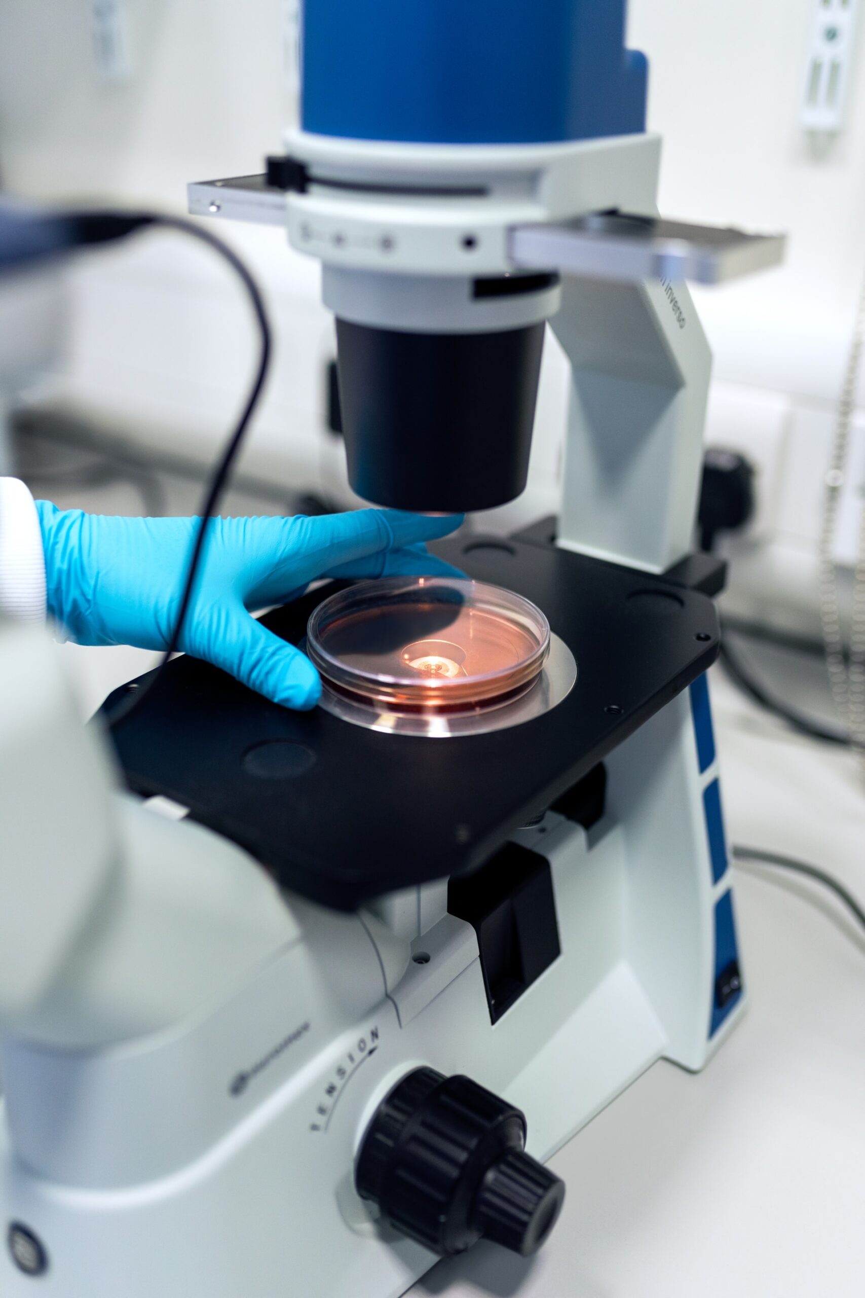 Doctor using a microscope to check the contents of a petri dish