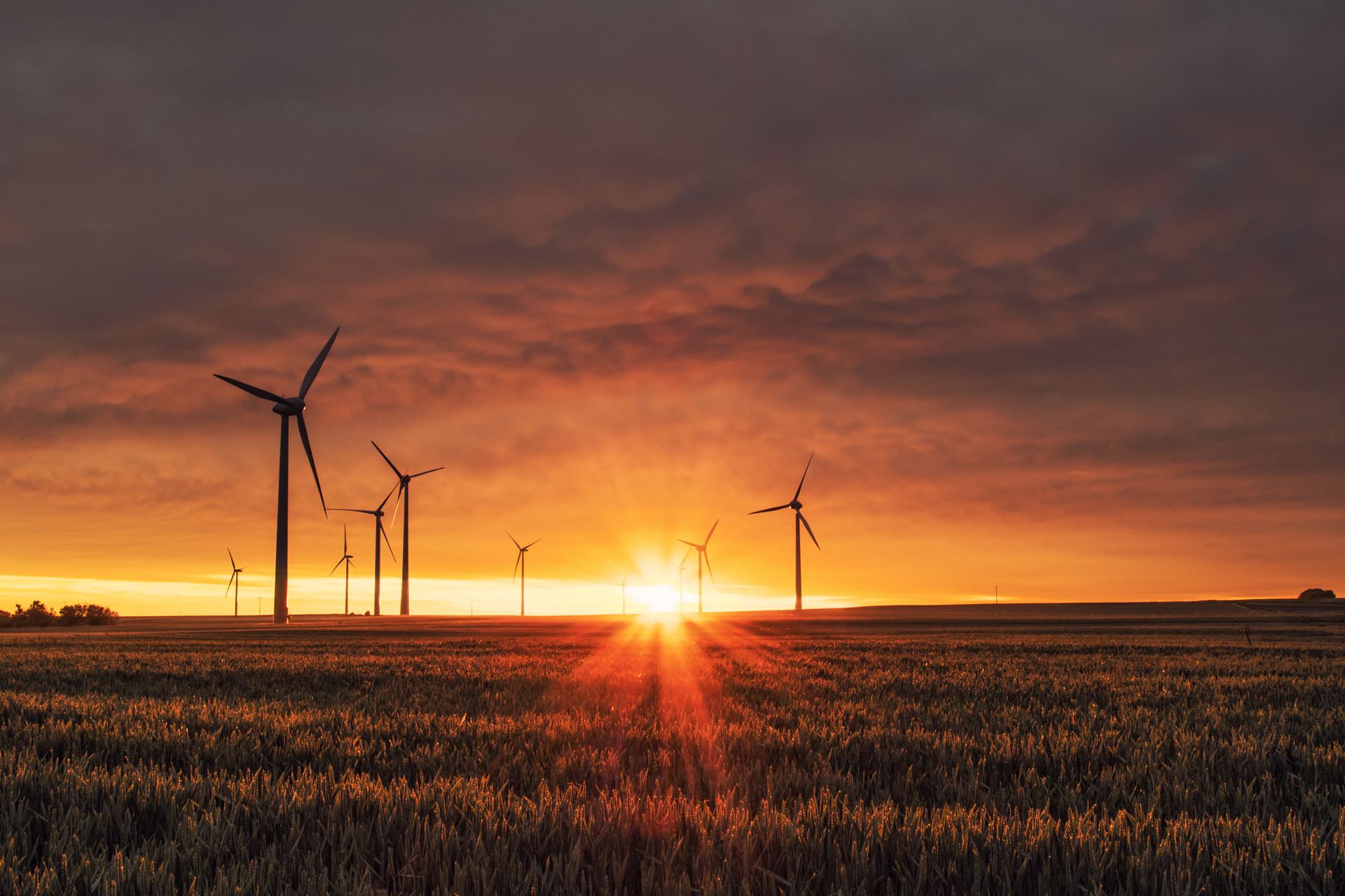 Field full of wind turbines in a bright yellow and orange sunset